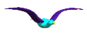 bird.bmp (8758 bytes)