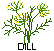 dill.gif (494 bytes)